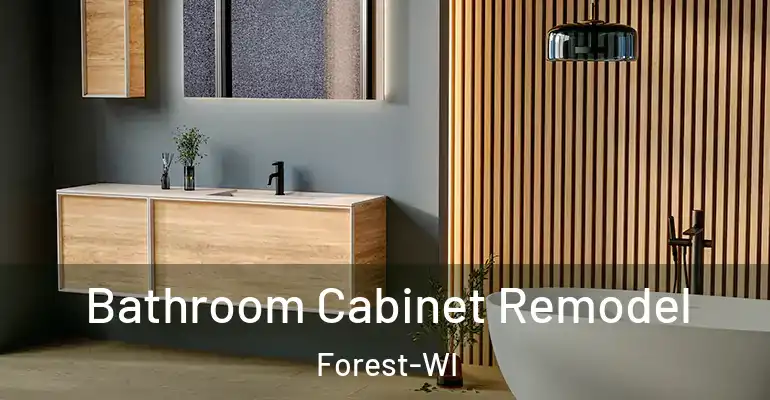 inner Bathroom imggen Bathroom Cabinet Remodel Forest-WI