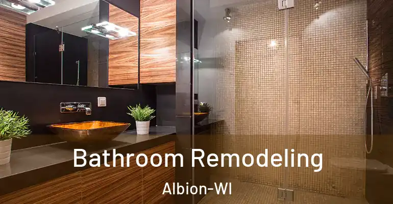inner Bathroom imggen Bathroom Remodeling Albion-WI