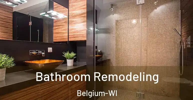 inner Bathroom imggen Bathroom Remodeling Belgium-WI