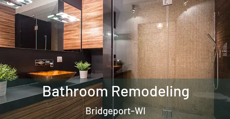 inner Bathroom imggen Bathroom Remodeling Bridgeport-WI
