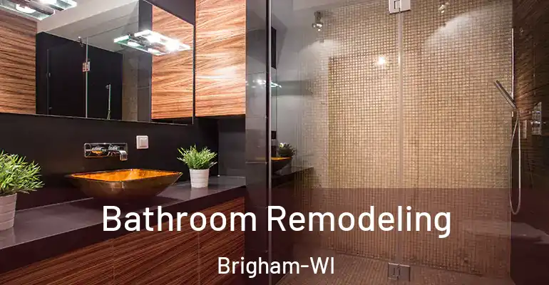 inner Bathroom imggen Bathroom Remodeling Brigham-WI