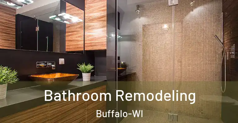 inner Bathroom imggen Bathroom Remodeling Buffalo-WI