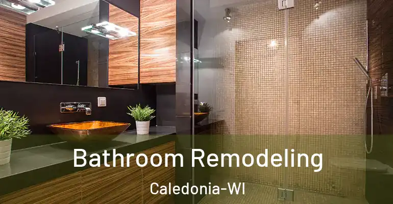 inner Bathroom imggen Bathroom Remodeling Caledonia-WI