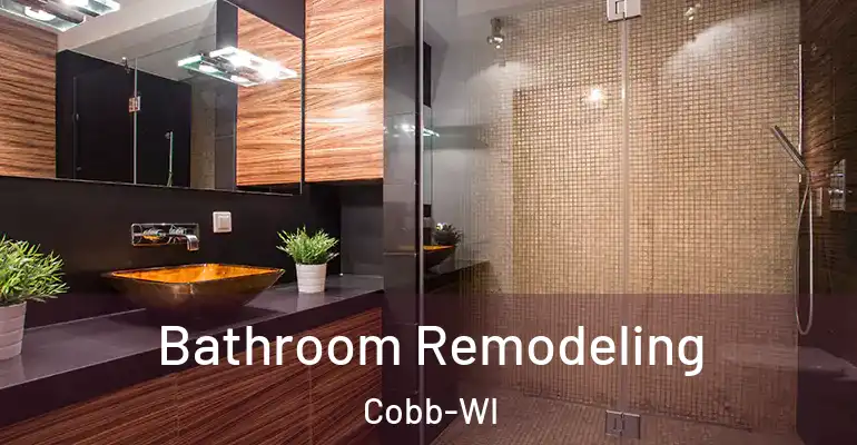 inner Bathroom imggen Bathroom Remodeling Cobb-WI