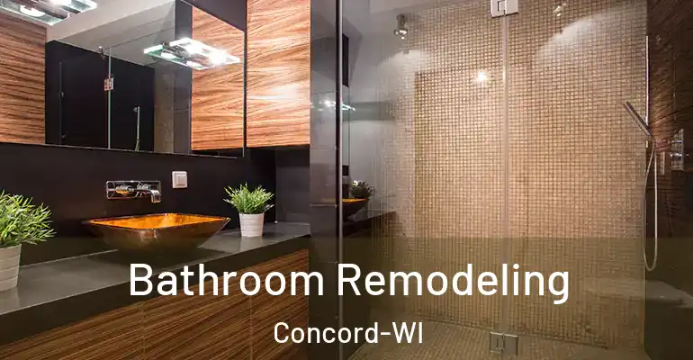 inner Bathroom imggen Bathroom Remodeling Concord-WI