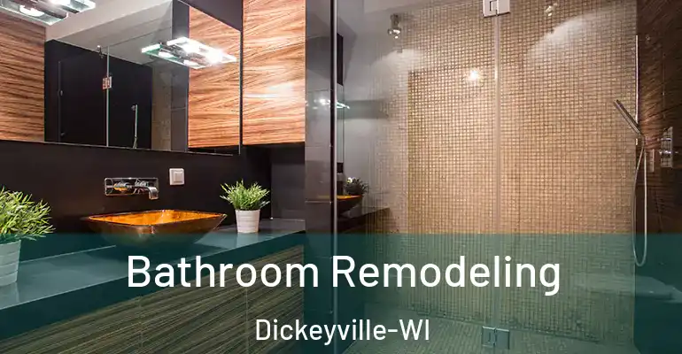 inner Bathroom imggen Bathroom Remodeling Dickeyville-WI