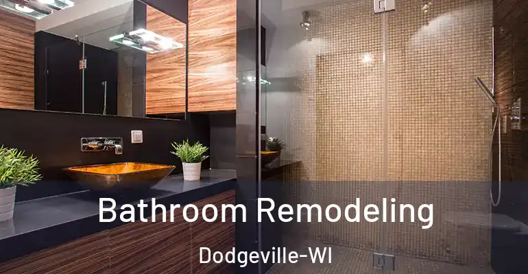 inner Bathroom imggen Bathroom Remodeling Dodgeville-WI