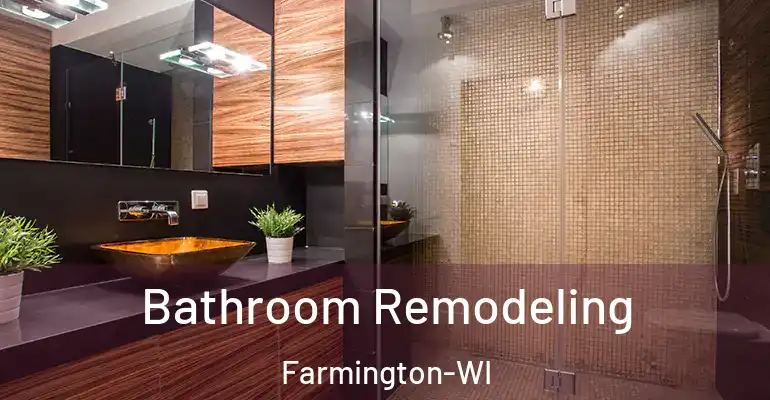 inner Bathroom imggen Bathroom Remodeling Farmington-WI