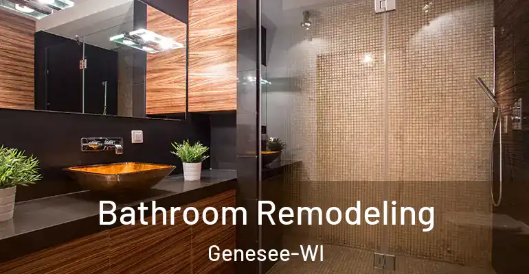 inner Bathroom imggen Bathroom Remodeling Genesee-WI