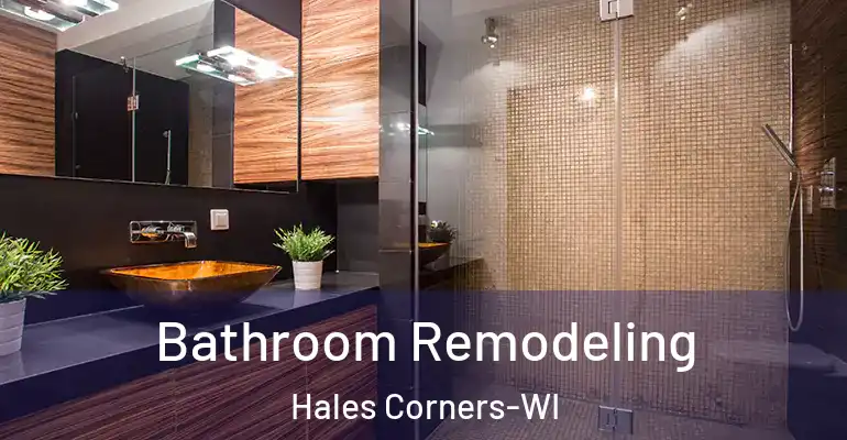 inner Bathroom imggen Bathroom Remodeling Hales Corners-WI