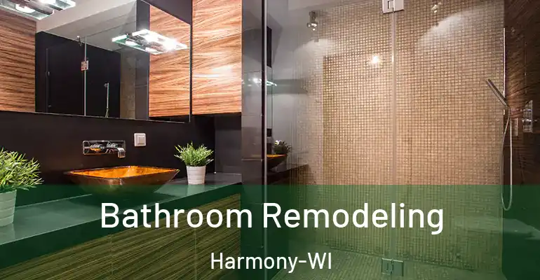 inner Bathroom imggen Bathroom Remodeling Harmony-WI