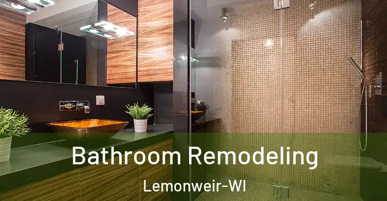 inner Bathroom imggen Bathroom Remodeling Lemonweir-WI