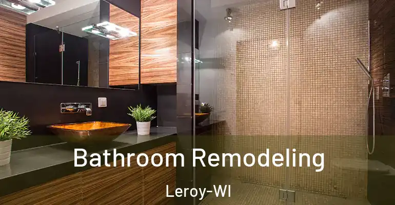 inner Bathroom imggen Bathroom Remodeling Leroy-WI