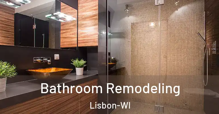 inner Bathroom imggen Bathroom Remodeling Lisbon-WI