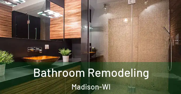 inner Bathroom imggen Bathroom Remodeling Madison-WI
