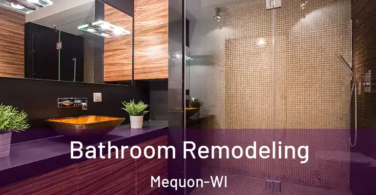 inner Bathroom imggen Bathroom Remodeling Mequon-WI
