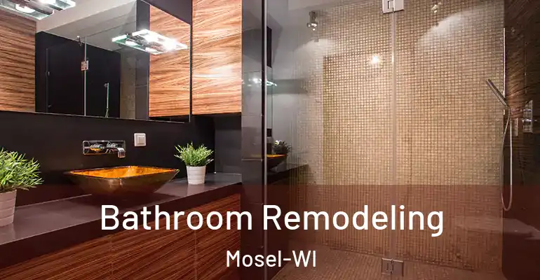 inner Bathroom imggen Bathroom Remodeling Mosel-WI