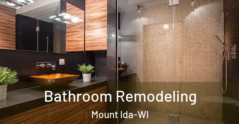 inner Bathroom imggen Bathroom Remodeling Mount Ida-WI