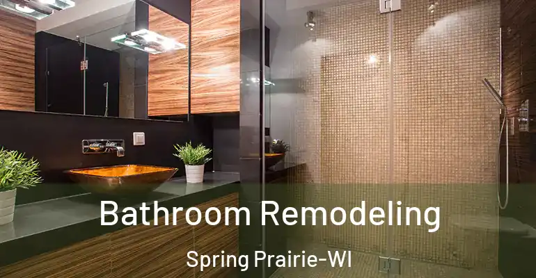 inner Bathroom imggen Bathroom Remodeling Spring Prairie-WI