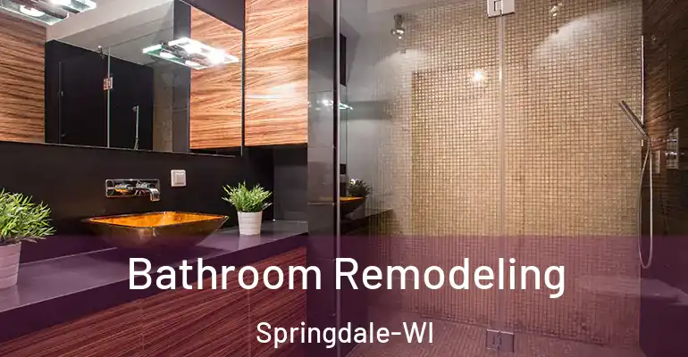 inner Bathroom imggen Bathroom Remodeling Springdale-WI