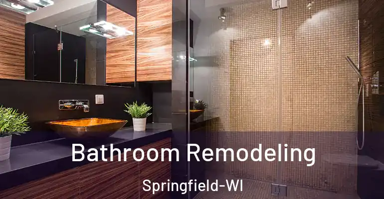 inner Bathroom imggen Bathroom Remodeling Springfield-WI