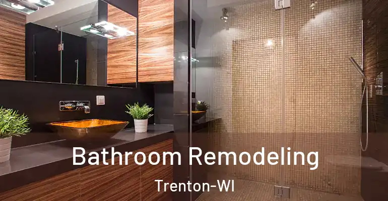 inner Bathroom imggen Bathroom Remodeling Trenton-WI