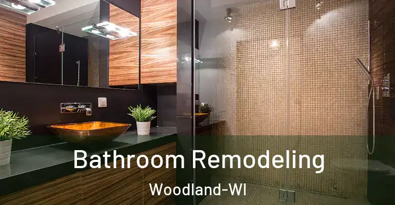 inner Bathroom imggen Bathroom Remodeling Woodland-WI