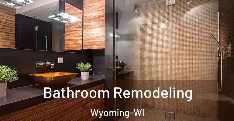 inner Bathroom imggen Bathroom Remodeling Wyoming-WI
