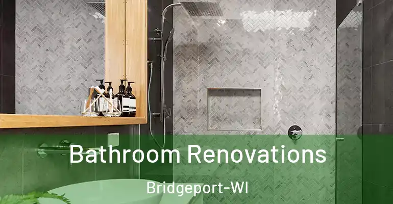 inner Bathroom imggen Bathroom Renovations Bridgeport-WI
