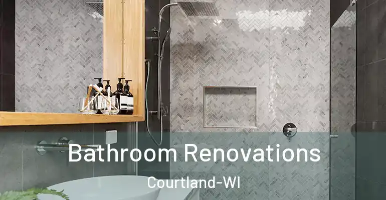 inner Bathroom imggen Bathroom Renovations Courtland-WI