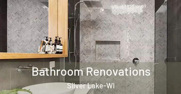 inner Bathroom imggen Bathroom Renovations Silver Lake-WI