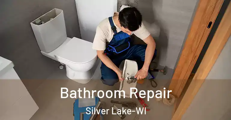 inner Bathroom imggen Bathroom Repair Silver Lake-WI