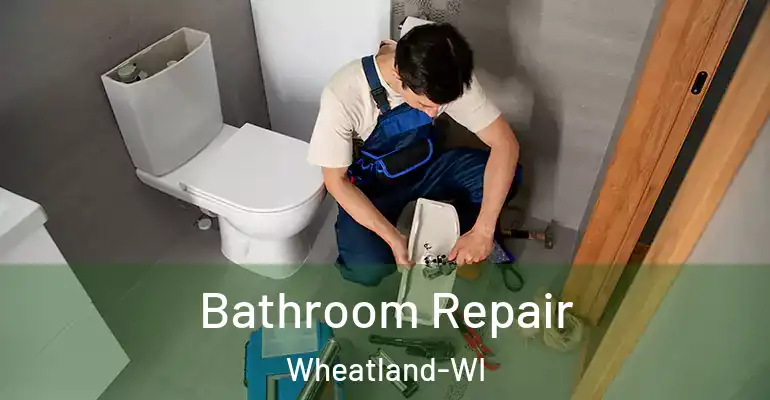 inner Bathroom imggen Bathroom Repair Wheatland-WI