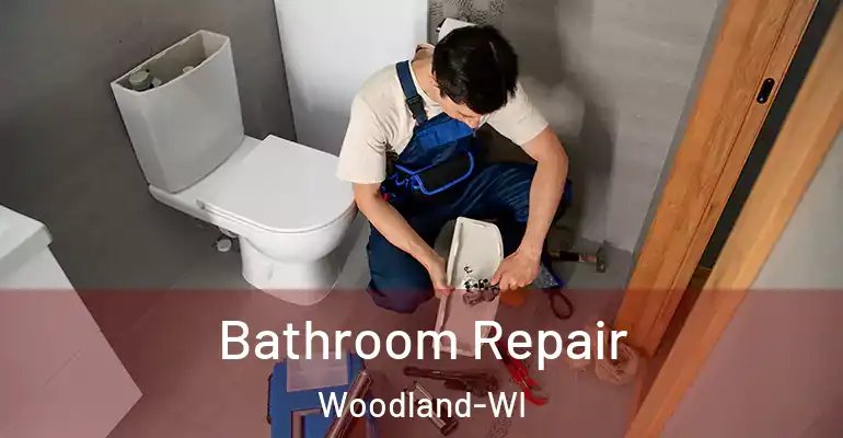 inner Bathroom imggen Bathroom Repair Woodland-WI