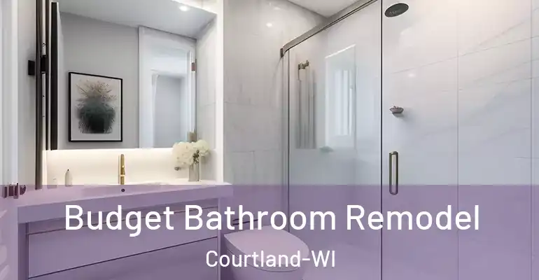 inner Bathroom imggen Budget Bathroom Remodel Courtland-WI