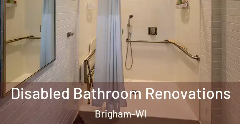 inner Bathroom imggen Disabled Bathroom Renovations Brigham-WI