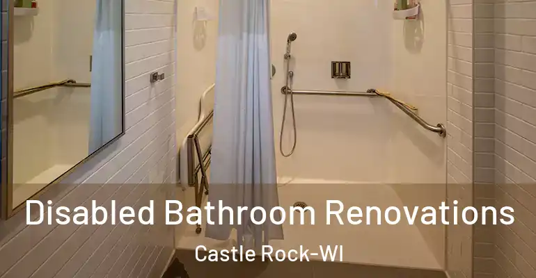 inner Bathroom imggen Disabled Bathroom Renovations Castle Rock-WI