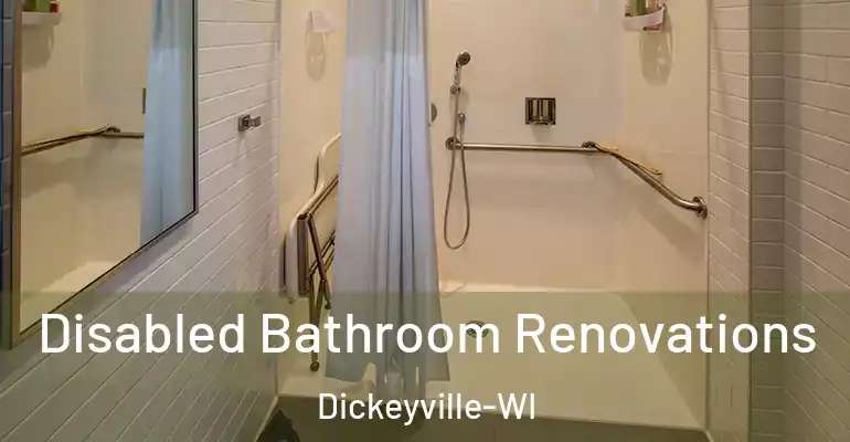 inner Bathroom imggen Disabled Bathroom Renovations Dickeyville-WI