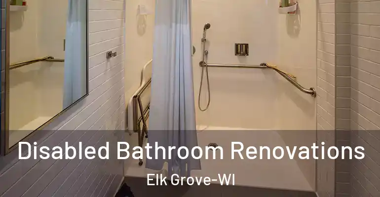inner Bathroom imggen Disabled Bathroom Renovations Elk Grove-WI