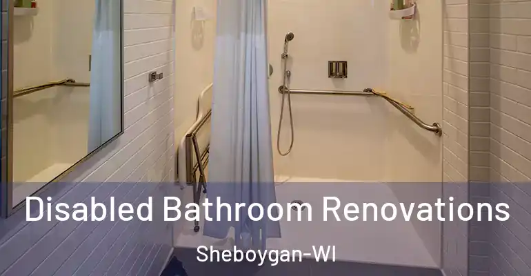 inner Bathroom imggen Disabled Bathroom Renovations Sheboygan-WI