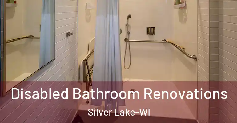 inner Bathroom imggen Disabled Bathroom Renovations Silver Lake-WI