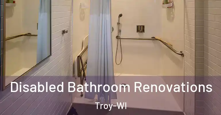 inner Bathroom imggen Disabled Bathroom Renovations Troy-WI