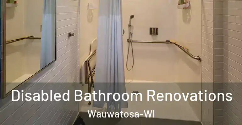 inner Bathroom imggen Disabled Bathroom Renovations Wauwatosa-WI