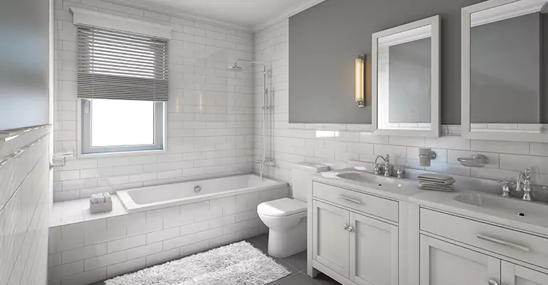 Bathroom Remodel Bathtub in Dodgeville, WI