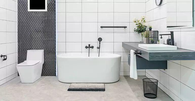 Bathroom Leak Repair in Dodgeville