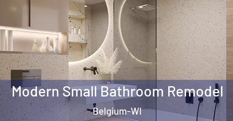 inner Bathroom imggen Modern Small Bathroom Remodel Belgium-WI