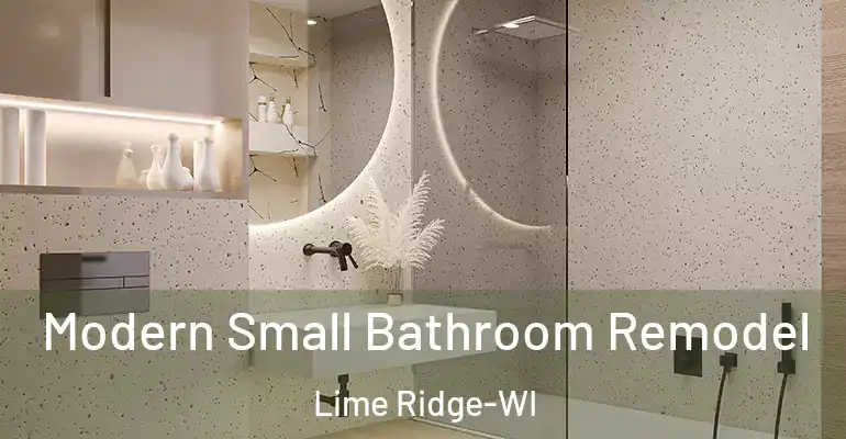 inner Bathroom imggen Modern Small Bathroom Remodel Lime Ridge-WI