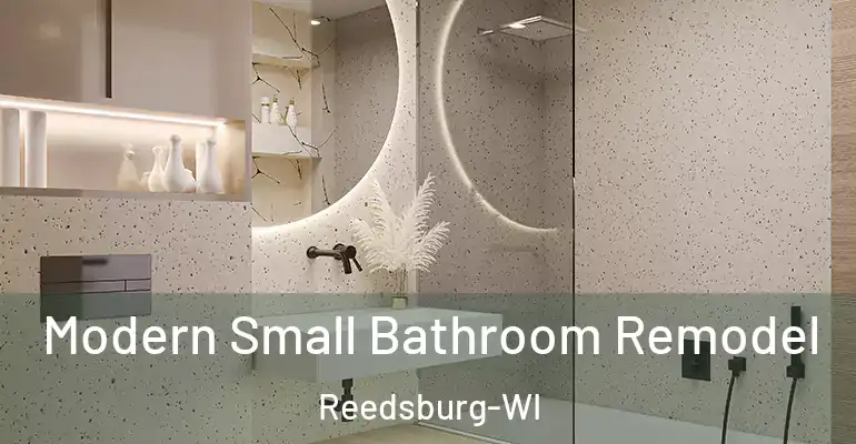 inner Bathroom imggen Modern Small Bathroom Remodel Reedsburg-WI