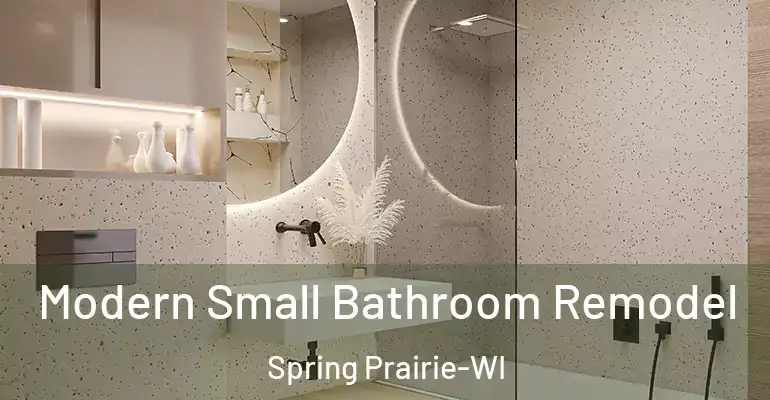 inner Bathroom imggen Modern Small Bathroom Remodel Spring Prairie-WI