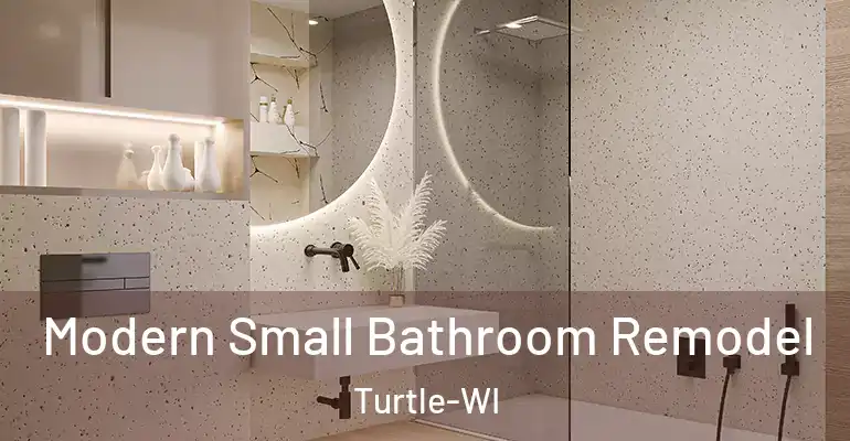 inner Bathroom imggen Modern Small Bathroom Remodel Turtle-WI